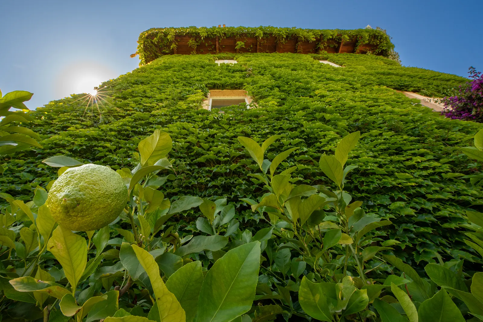 Il Giardino - Casa Pazzi Grottammare Alta