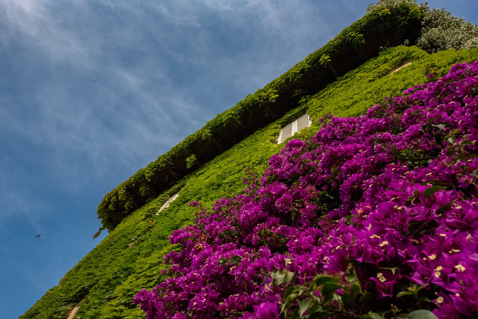 Il Giardino - Casa Pazzi Grottammare Alta