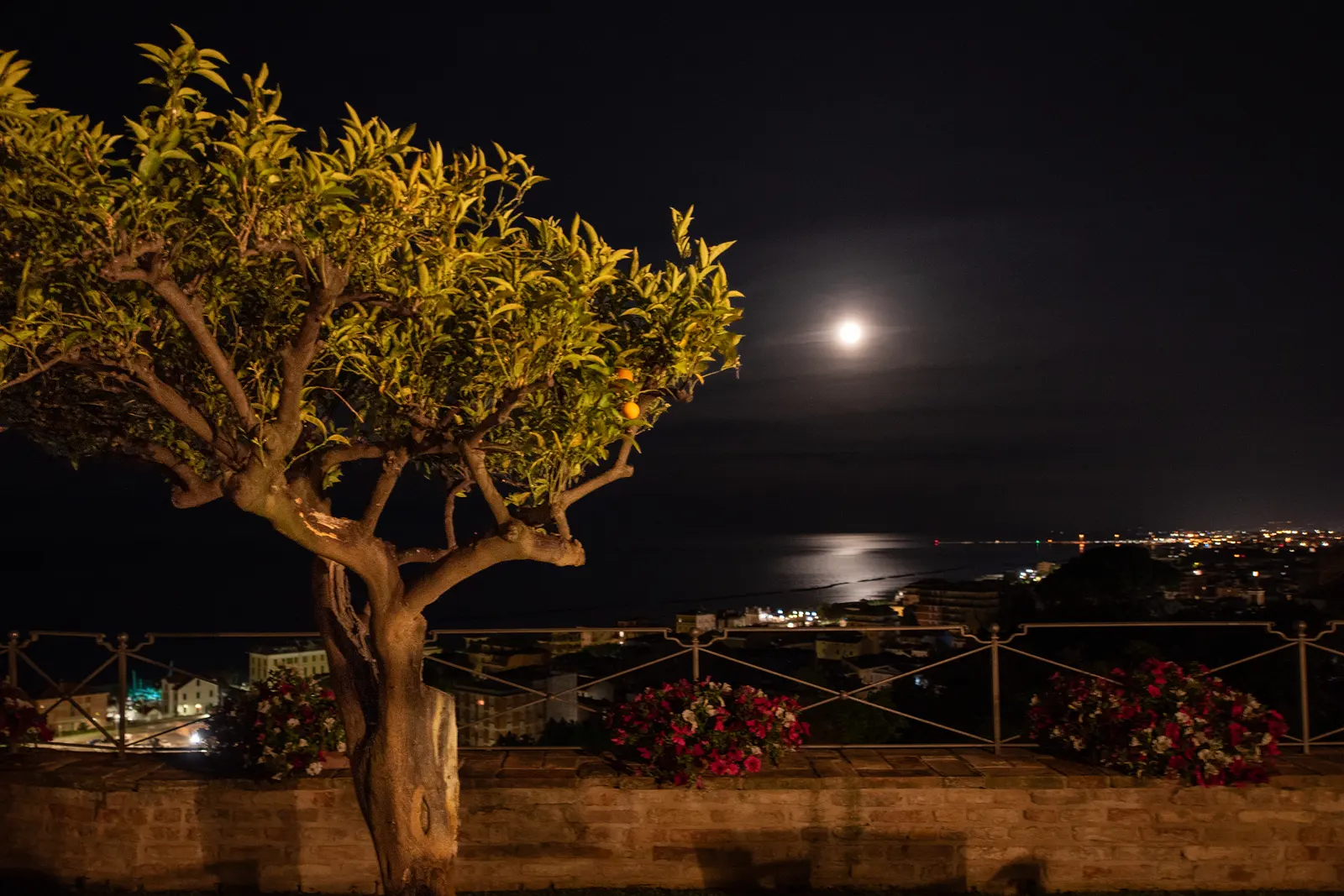 Il Giardino - Casa Pazzi Grottammare Alta