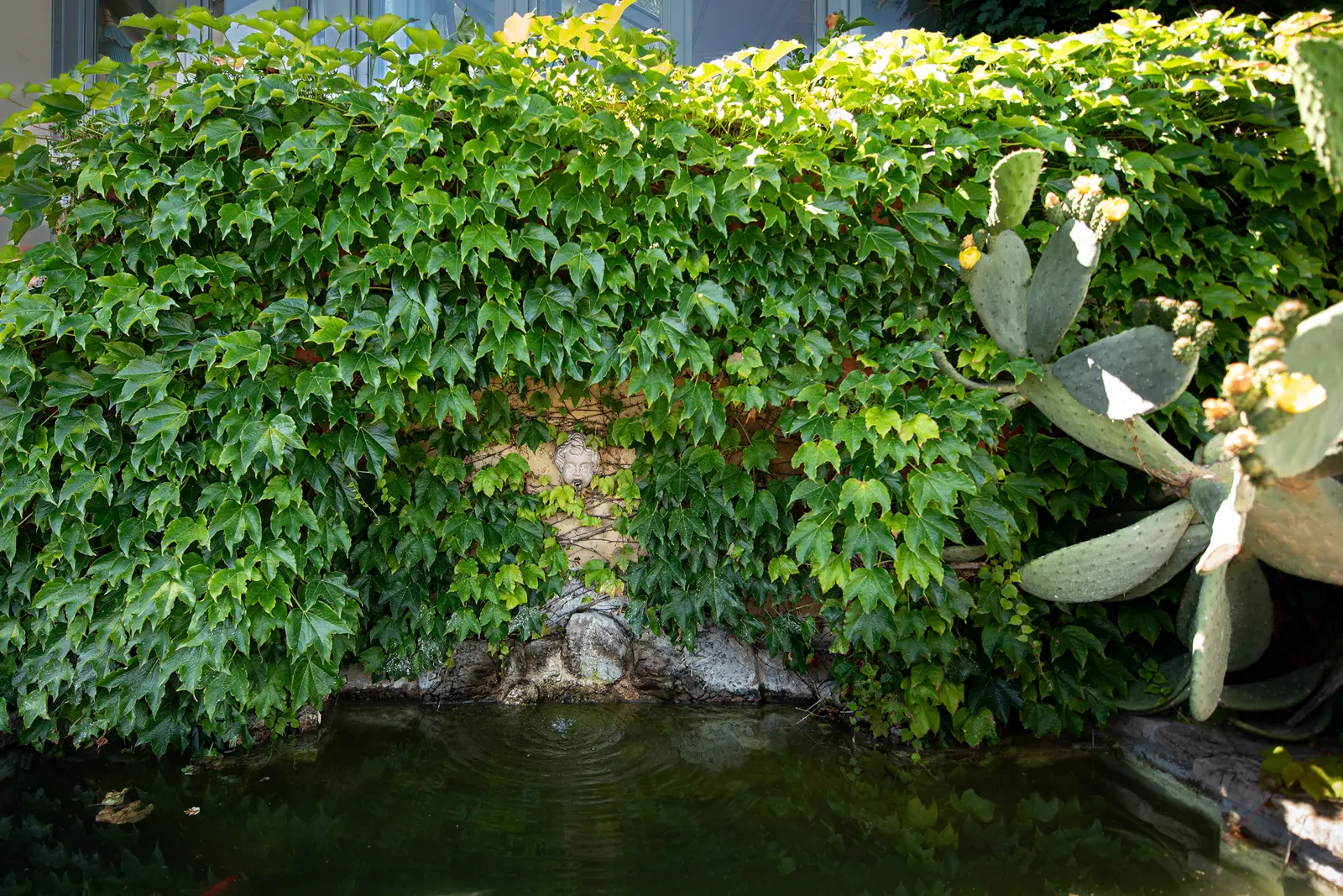 Il Giardino - Casa Pazzi Grottammare Alta